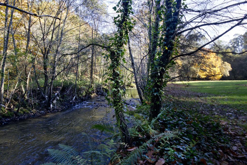 Hostal Quinta De Mouraes Casa Dos Rododendros Lever Exterior foto