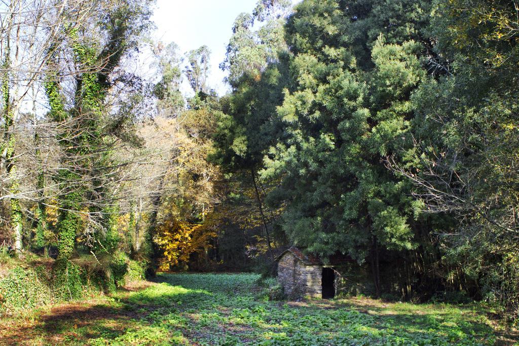 Hostal Quinta De Mouraes Casa Dos Rododendros Lever Exterior foto